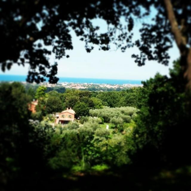 Agriturismo La Barca Nel Bosco Rosciano  Zewnętrze zdjęcie